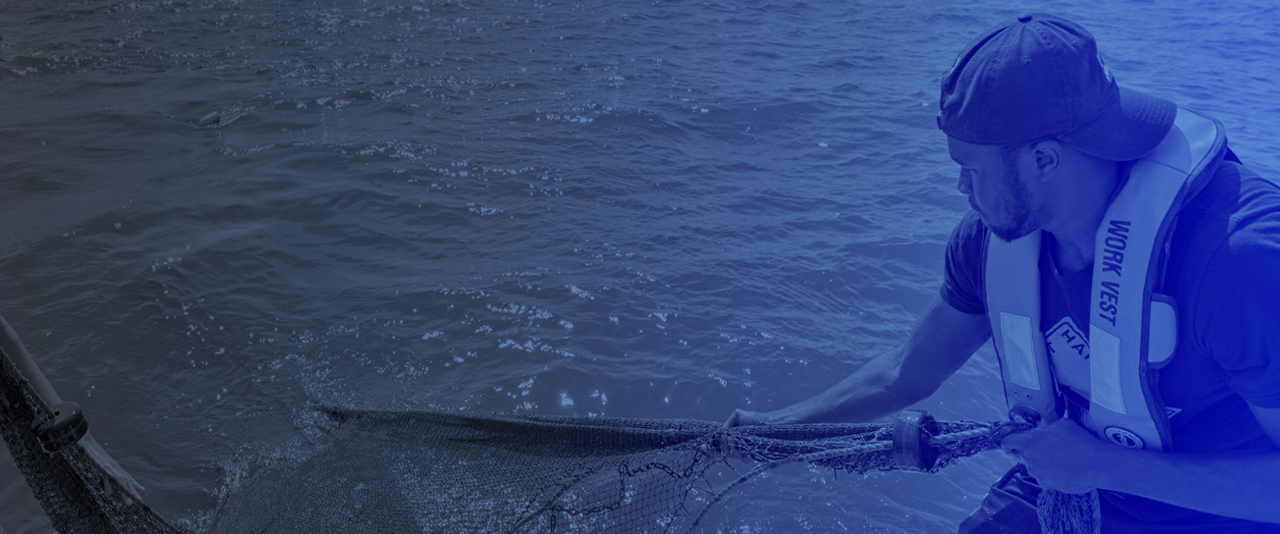 Student pulls in trawling net on a UD CEOE research cruise