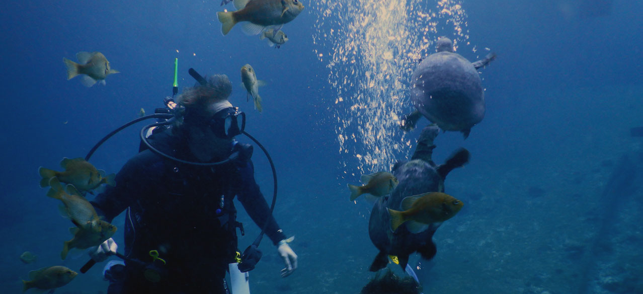 Shot of students in a scuba class