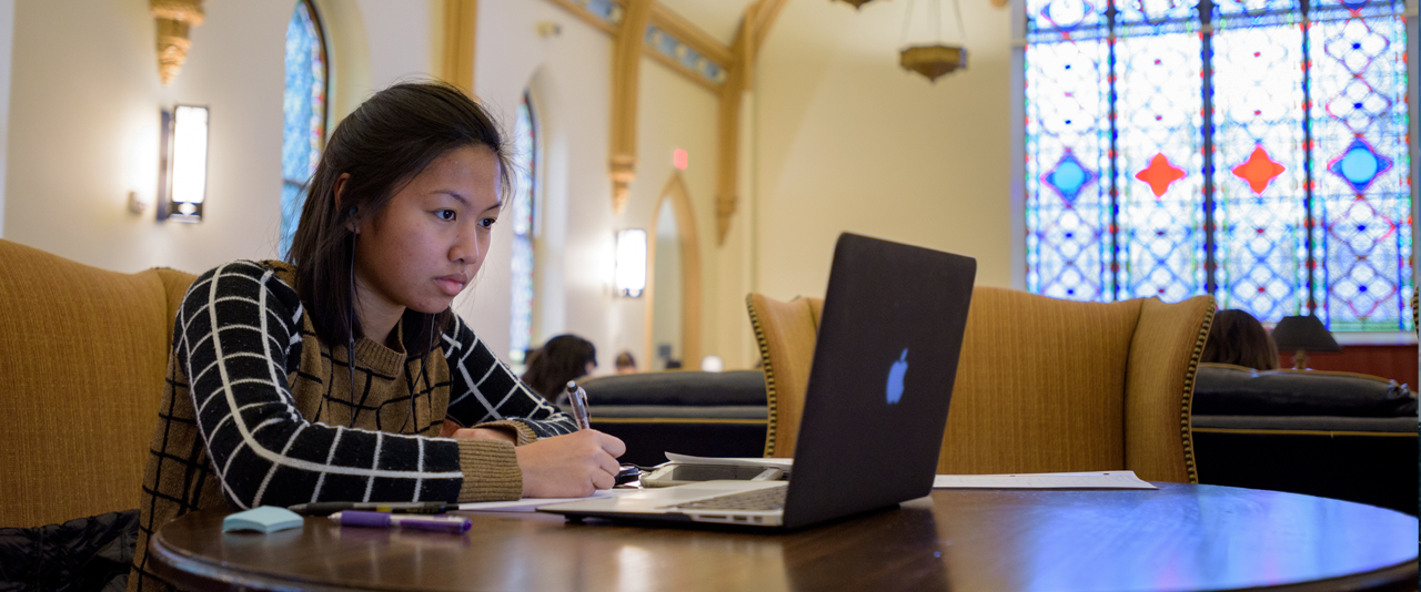 Student looking at laptop in Daugherty Hall