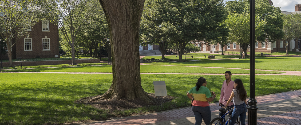 UD students gather to chat on The Green