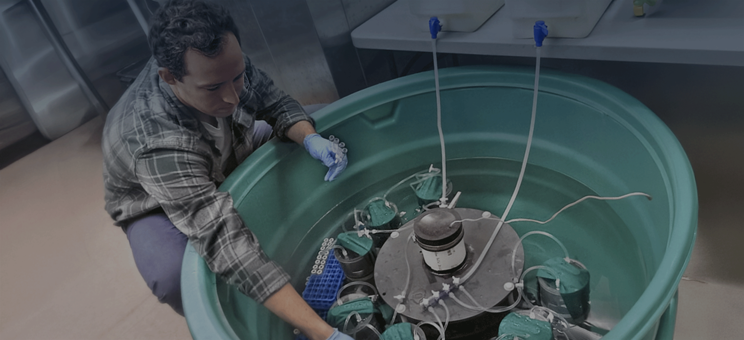 New insights into nitrogen fixation
