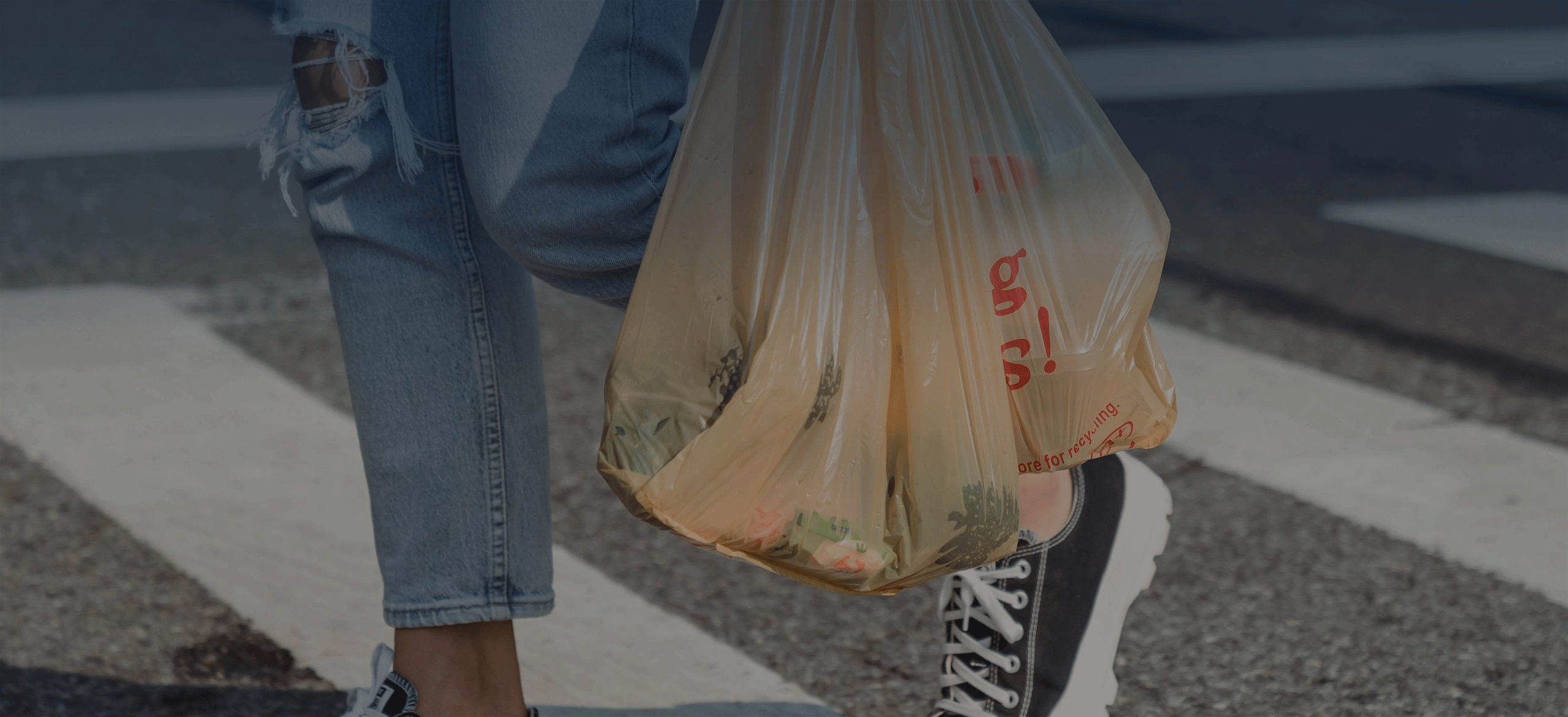Plastic bag policies
