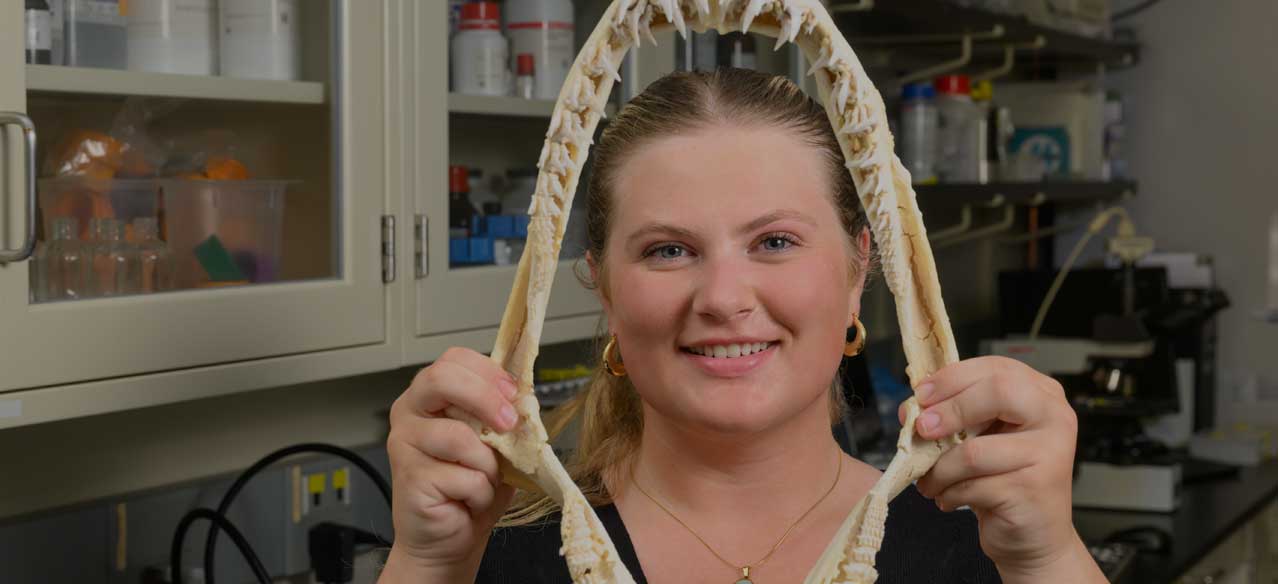 Student holding up skeletal shark teeth