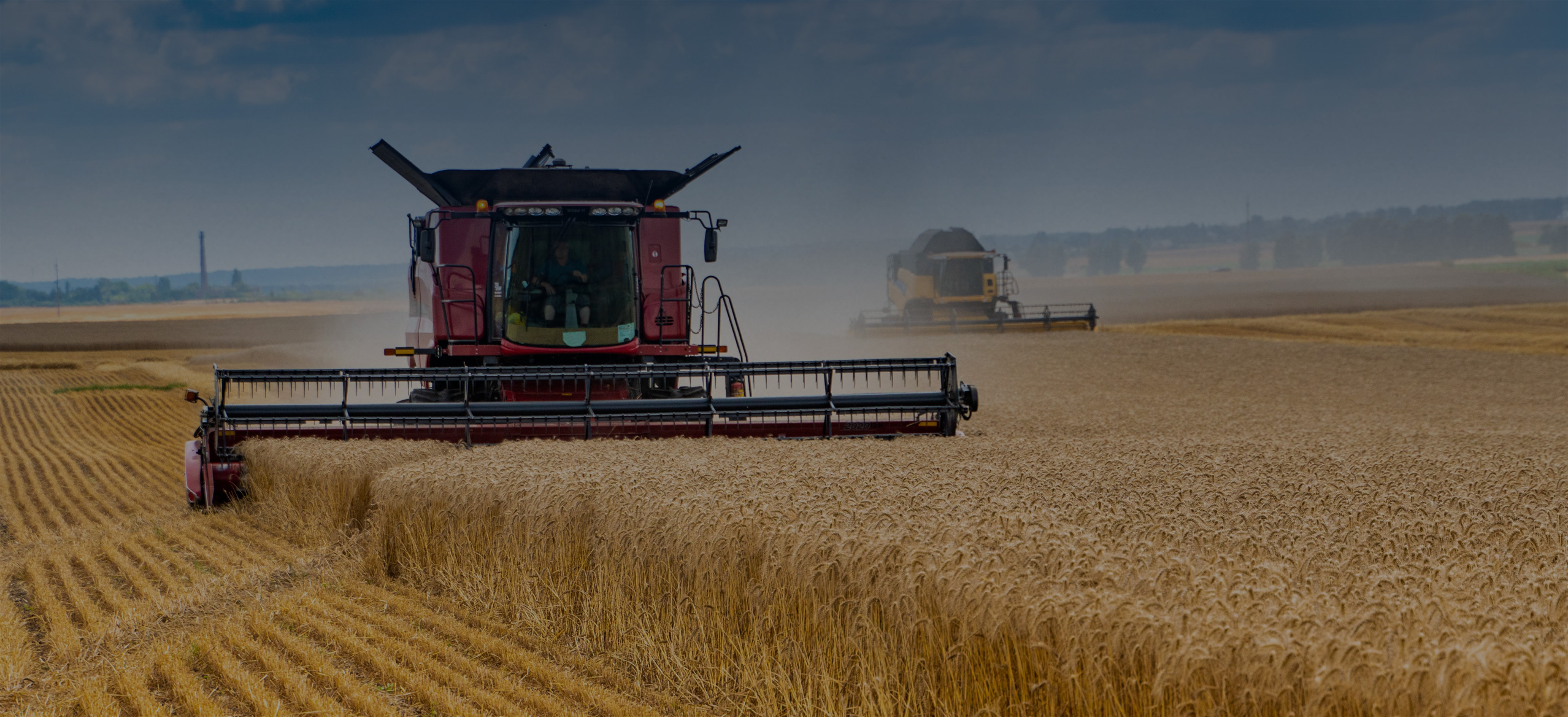 Global Crops and Drought