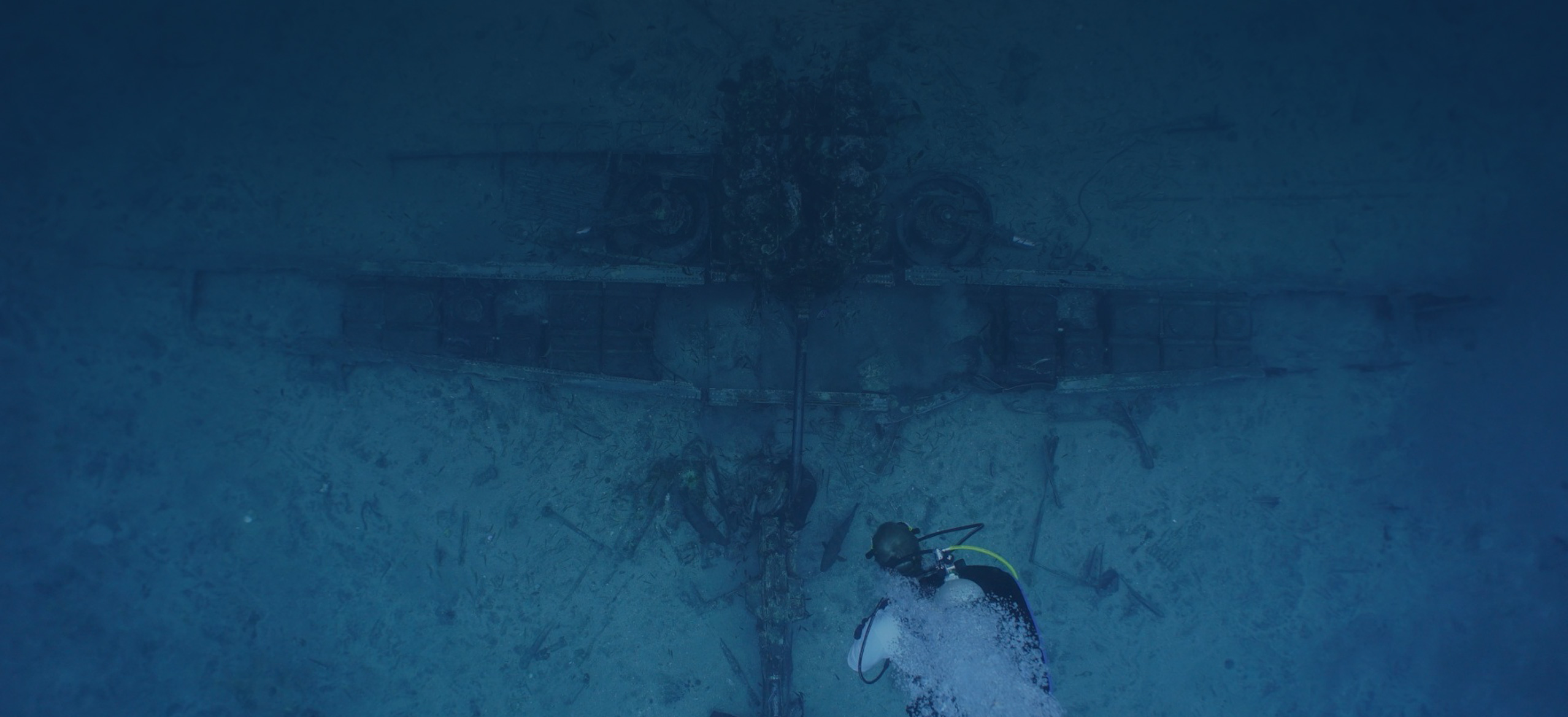 After helping locate a missing WWII aircraft, UD alumni will travel to Arlington to honor the airman finally being laid to rest