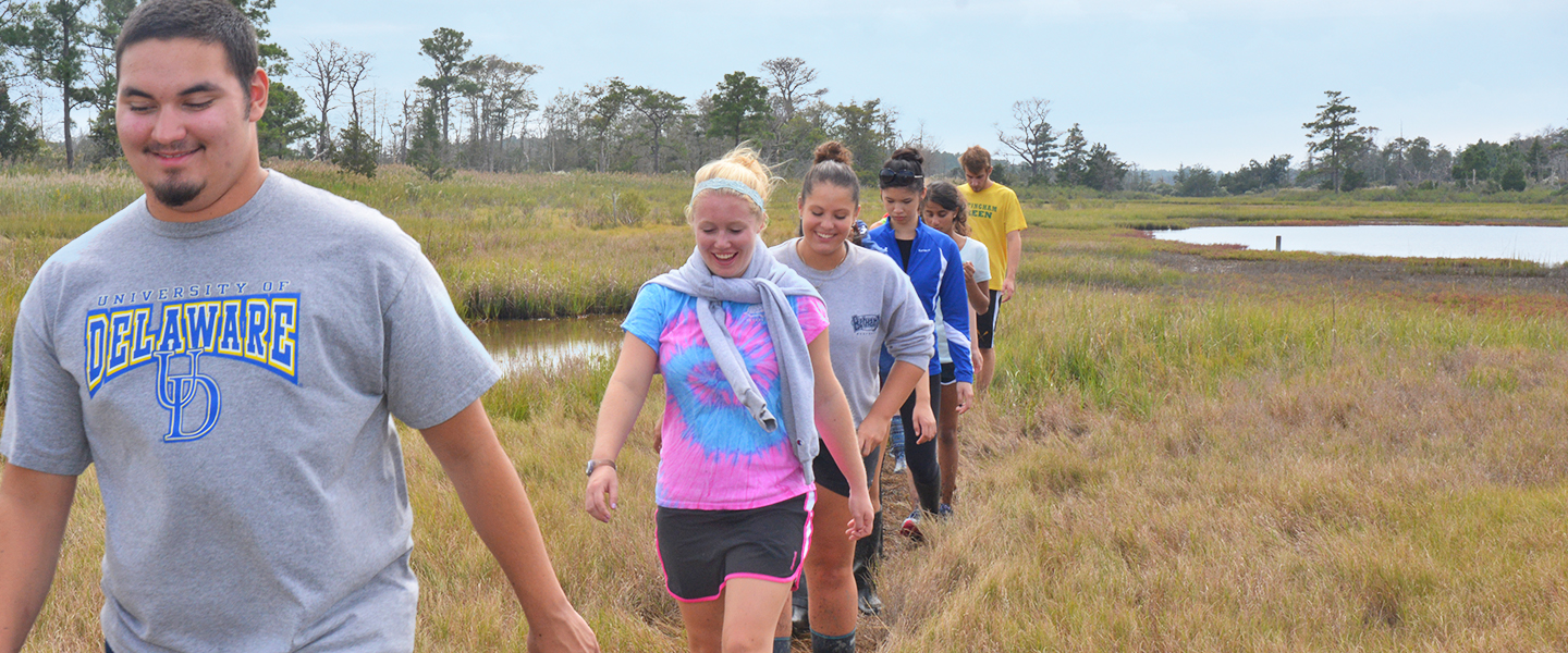 Freshmen students learning and exploring a Delaware marsh habitat Freshmen students learning and exploring a Delaware marsh habitat