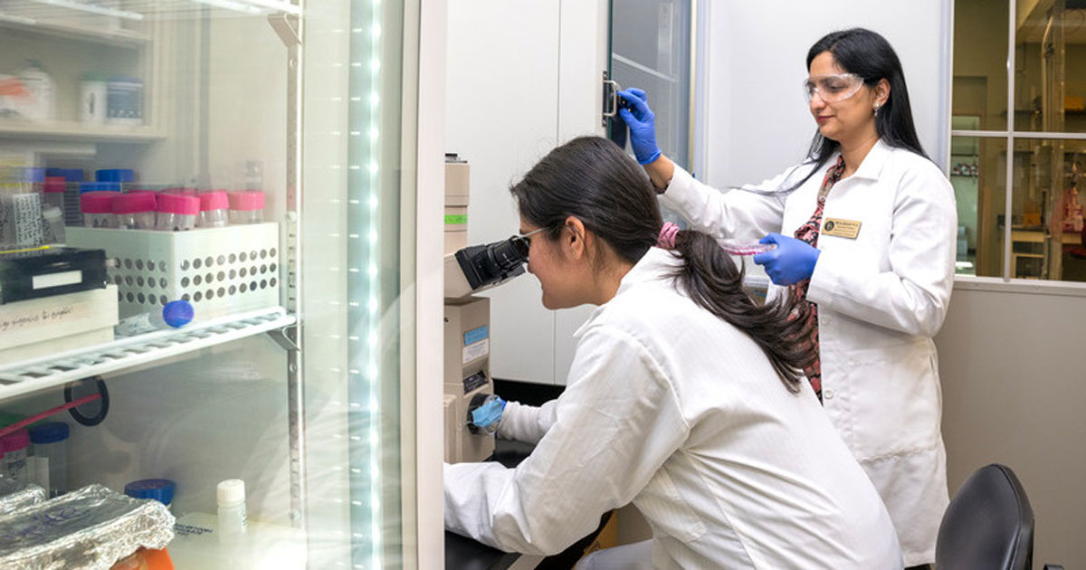 Associate Professor Mona Batish watches over doctoral candidate Brigette Romero as she looks into a microscope. Both are in the lab wearing white lab coats and blue gloves.