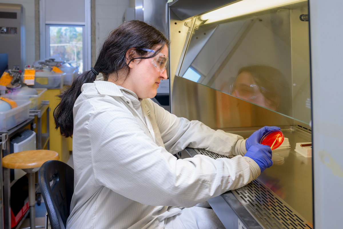 MMSC student working on an experiment in a fume hood