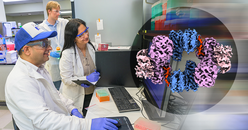 A photo of researchers sitting at a computer wearing lab coats, gloves and hats, with a graphic of 