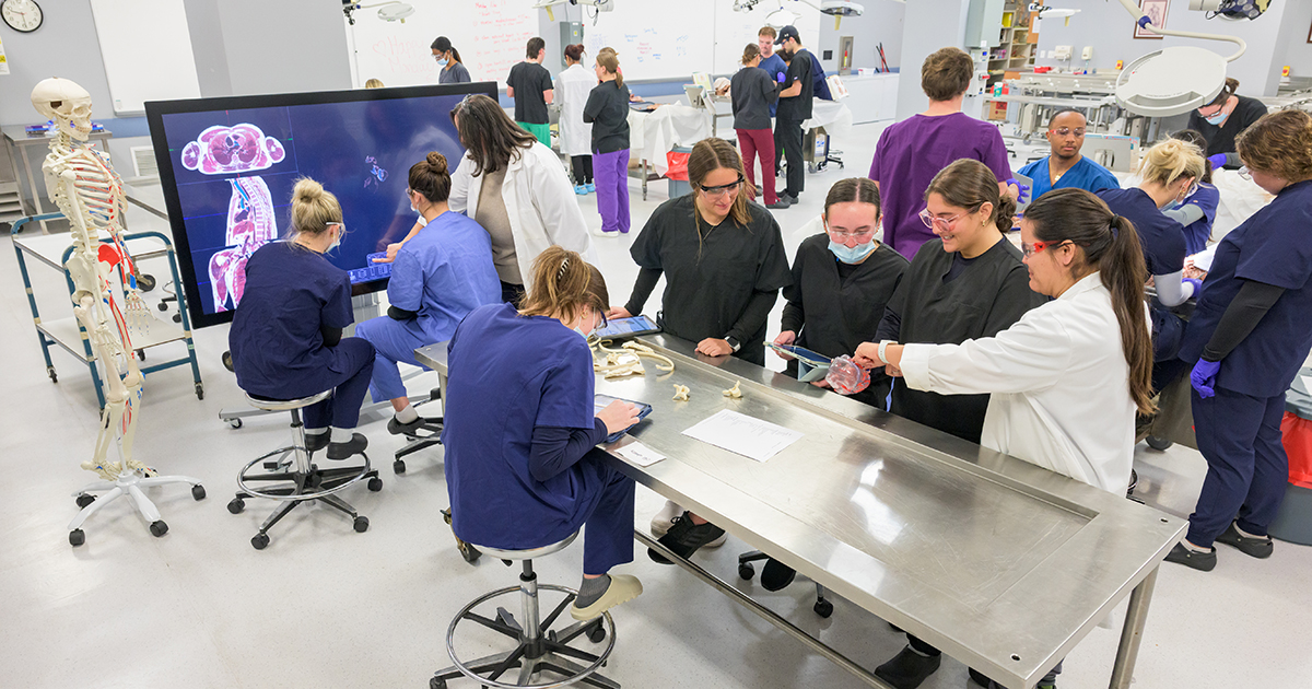 An overhead shot of students work in the anatomy lab wearing goggles and scrubs. Some are using virtual anatomy, others are using plastic bones as models while others are working on cadavers which cannot be seen out of respect for the individuals who have donated their bodies to science.