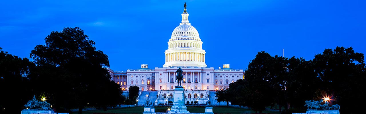 Washington, D.C. Blue Hen Network