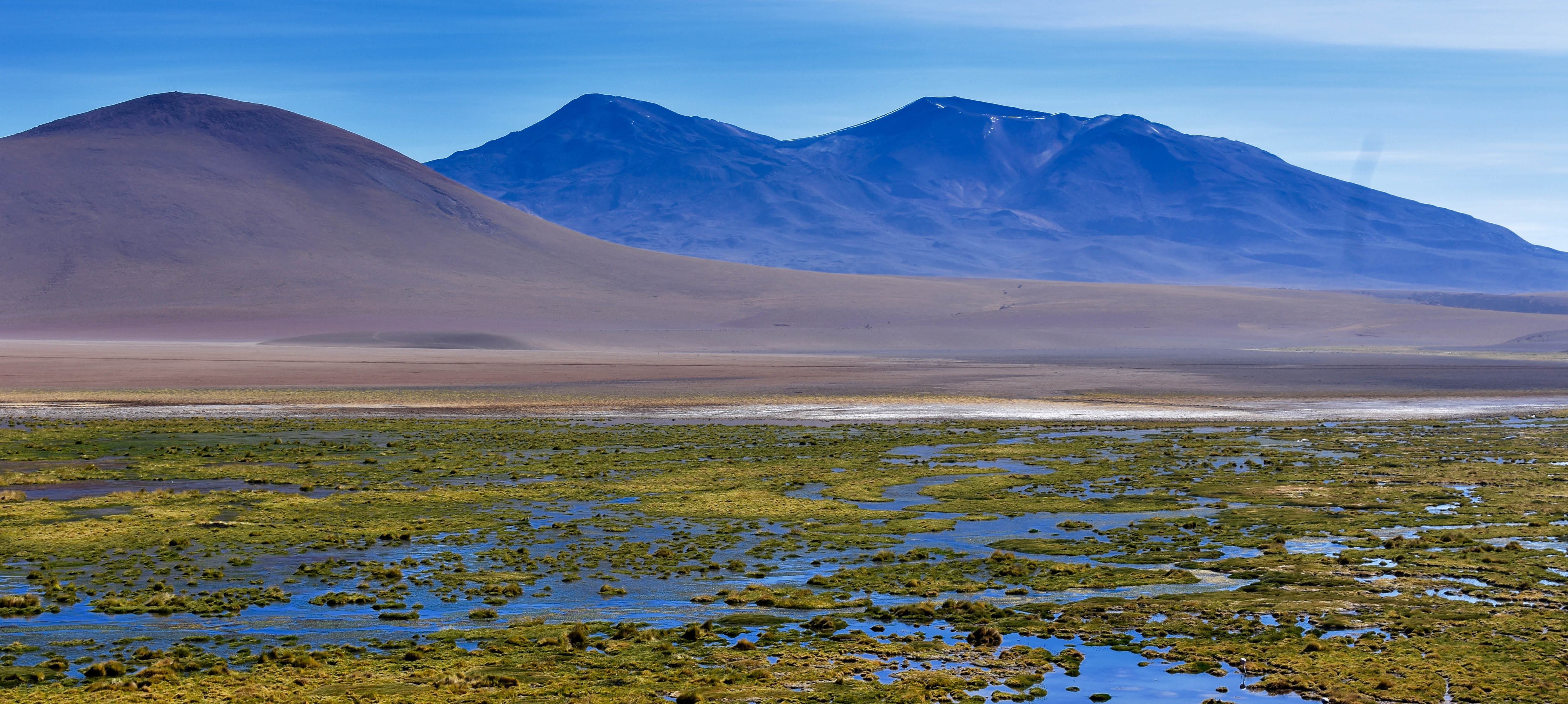 A photo of a Chilean landscape