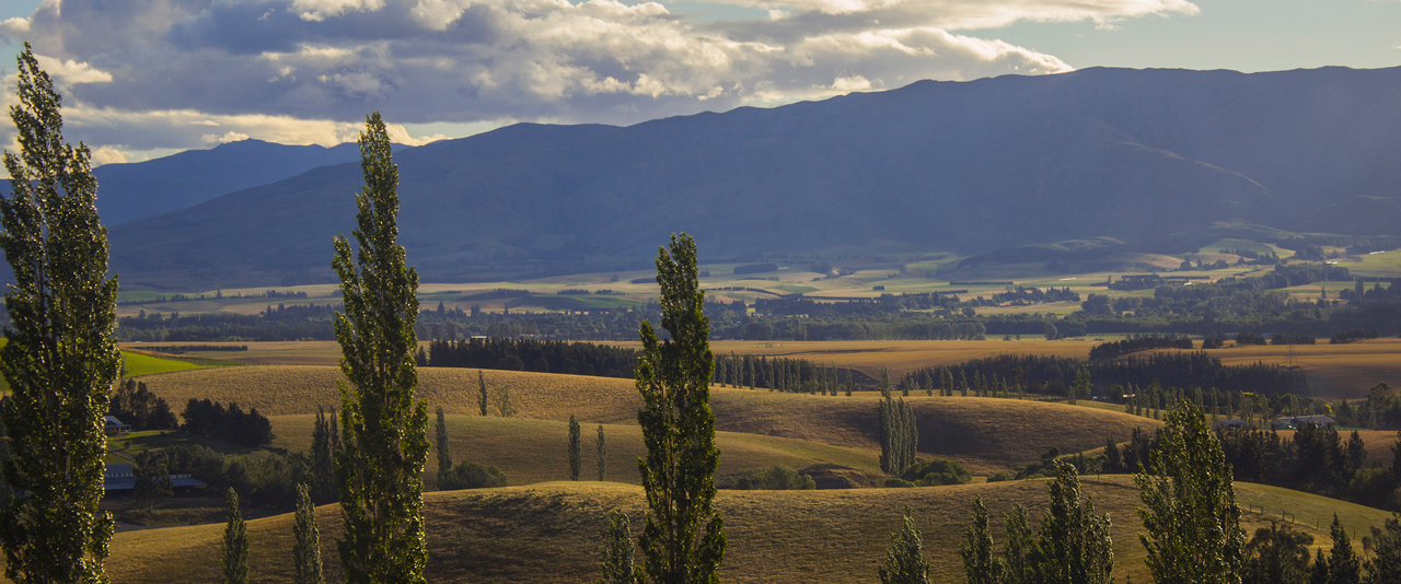 A photo of a landscape in New Zealand