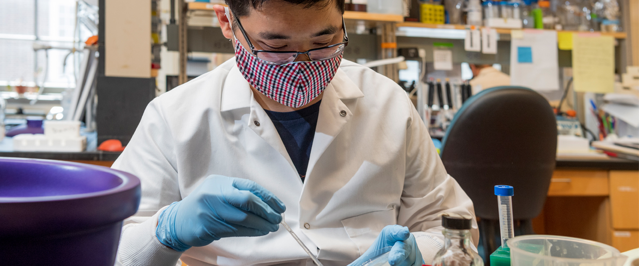 Biology graduate student works on collecting samples of DNA for isolating C.eleganes