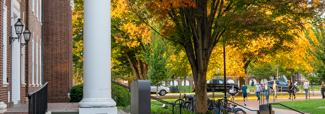 Fall campus beauty shots around Gore, Sharp, Kirkbride, Purnell and Hullihen Halls, October 23rd, 2024