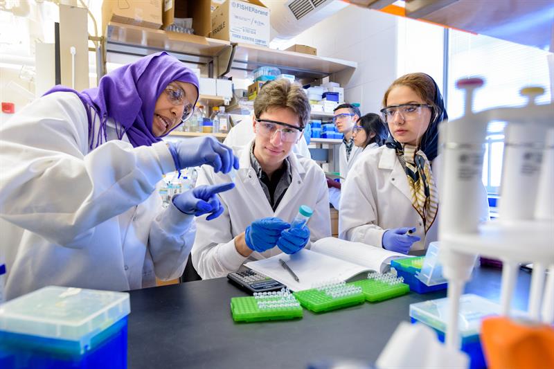 UD biology students participate in a genetic research study in Professor Salil Lachke's lab, which primarily focuses on interdisciplinary genetic research related to the eye and its associated defects. Undergraduate and graduate students are encouraged to sign up for research opportunities through one of several faculty-led labs in the UD Department of Biological Sciences.