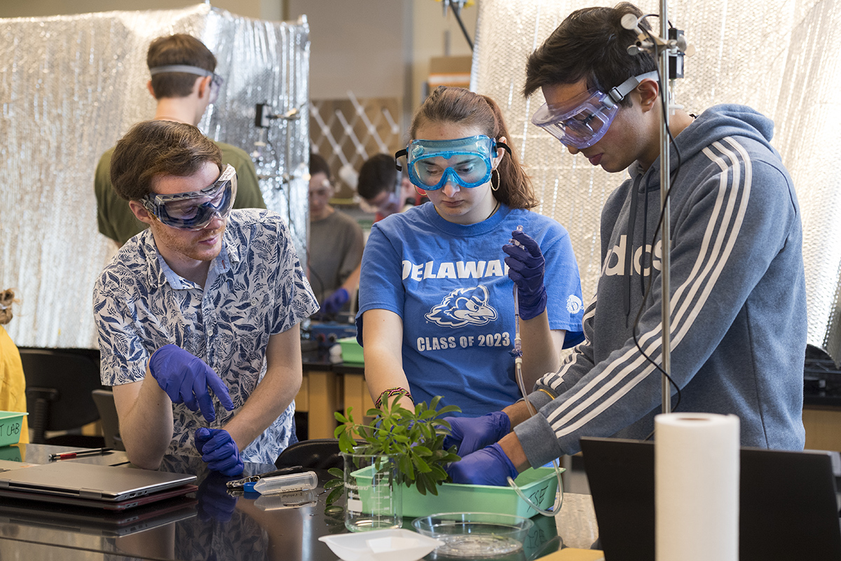 Students in Integrated Biology and Chemistry I (IBC: BISC207/CHEM107), part of a unique offering at UD that integrates both introductory biology and chemistry courses and labs over two semesters, work together on an in-class lab in the UD Patrick T. Harker Interdisciplinary Science and Engineering Laboratory (ISE Lab).