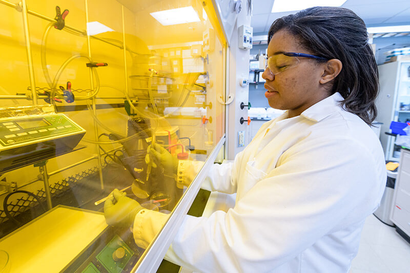 Biomedical Engineering students performing research in the lab