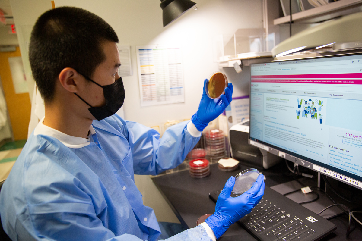 Student looking at petri dish