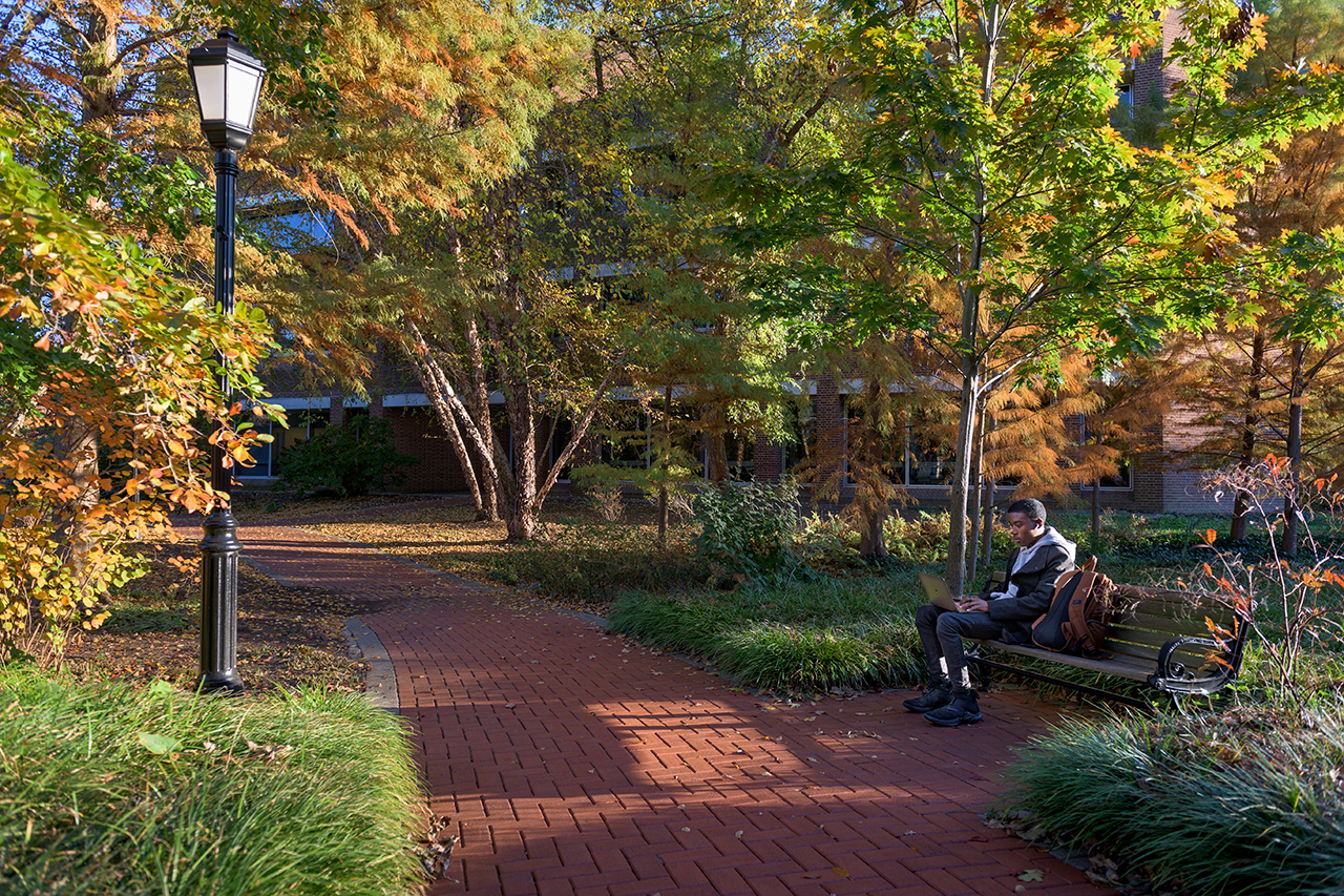 Fall campus scene