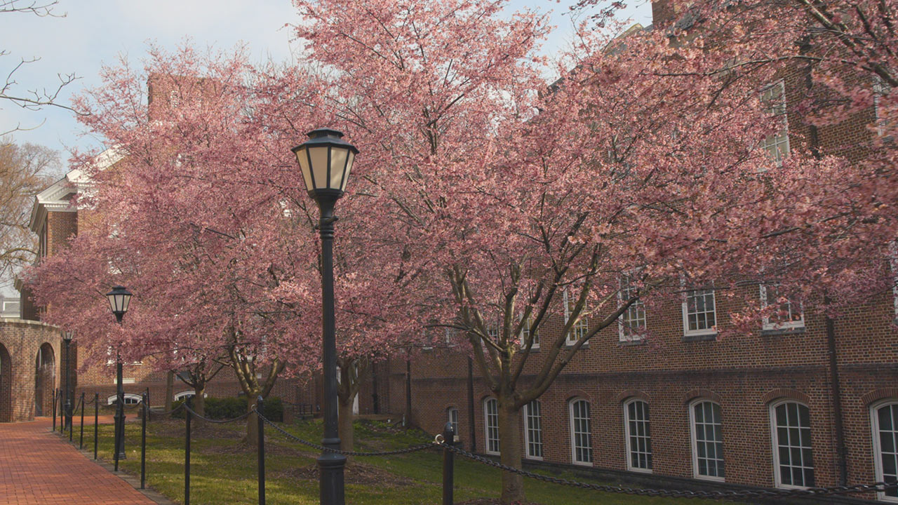 Still image of the University of Delaware's campus in spring.