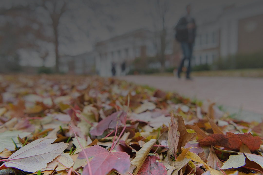 Various exciting B-Roll of student experience and campus beauty.