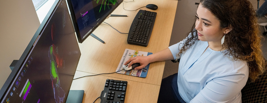Woman at a desk working on the computer.