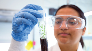 UD1022 — a unique strain of Bacillus subtilis in a vial held by a scientist.