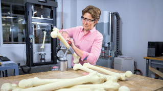 Researcher working with a model of a human bone.