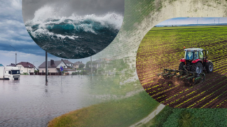 Various images depicting rising sea levels arranged in a collage format.