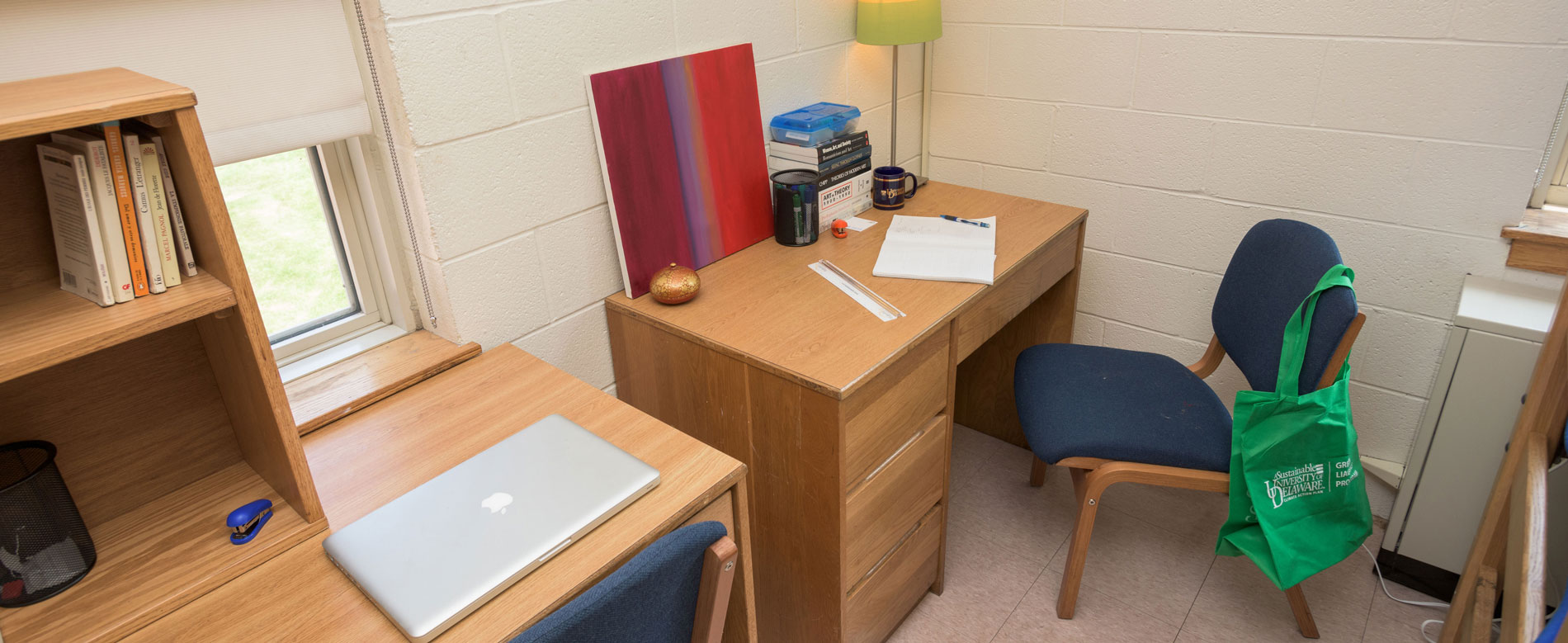 Two side-by-side desks in a Ray Street dorm room