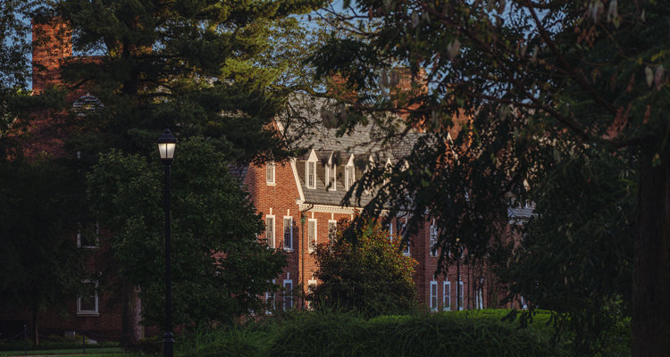a view of South Central residence halls through shady trees