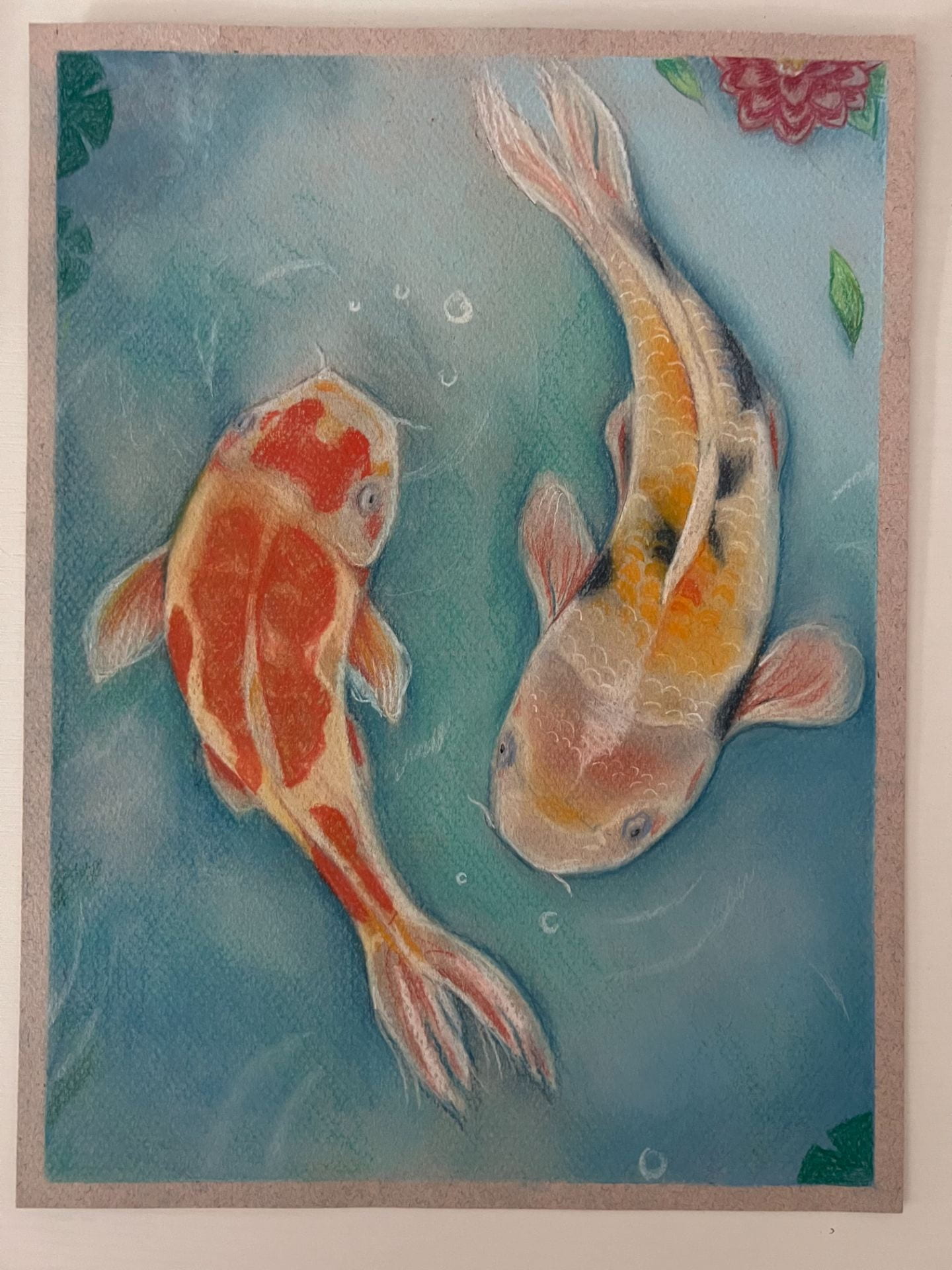 Pastel drawing of a red koi and yellow koi
