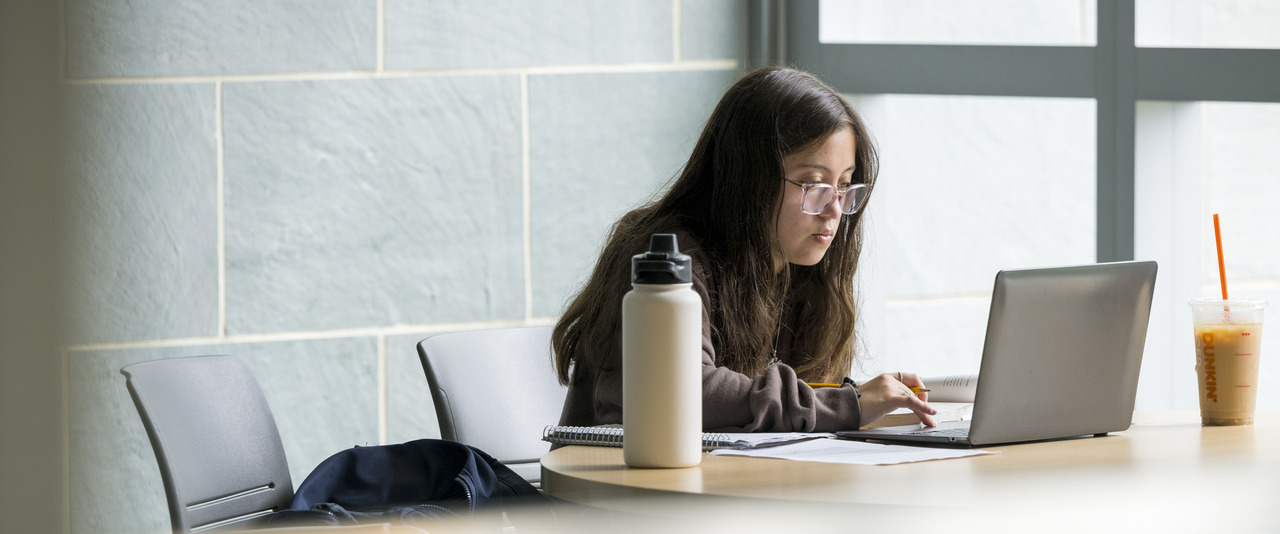 Student working on a laptop