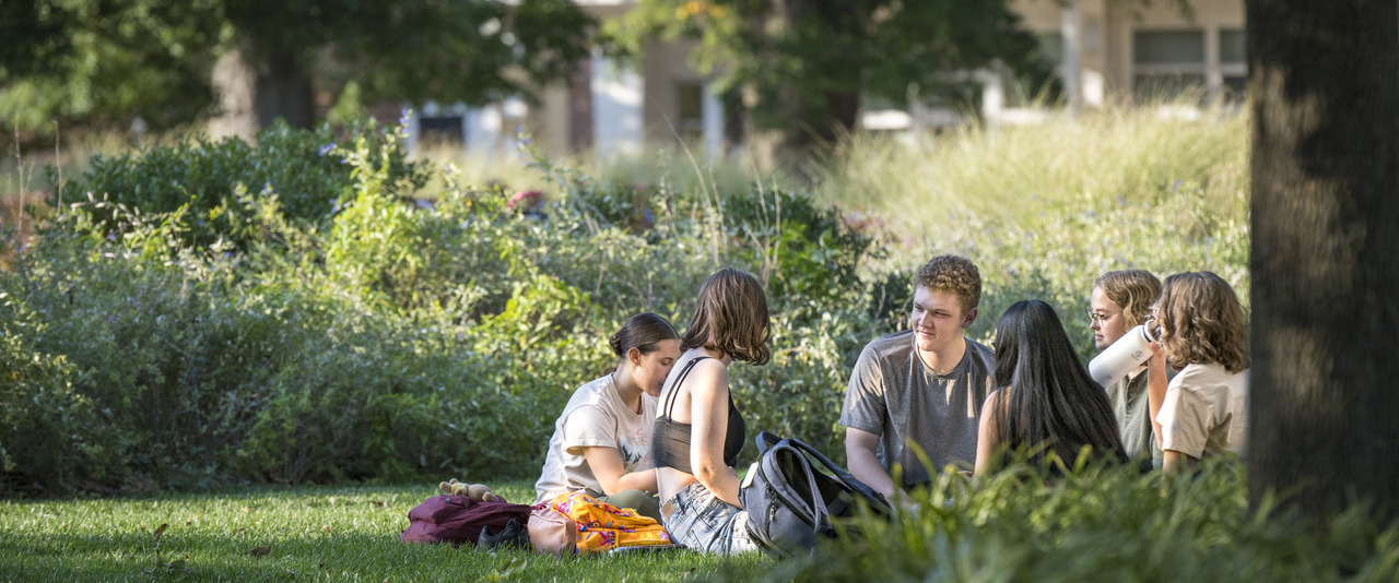 Students sitting on The Green under a tree