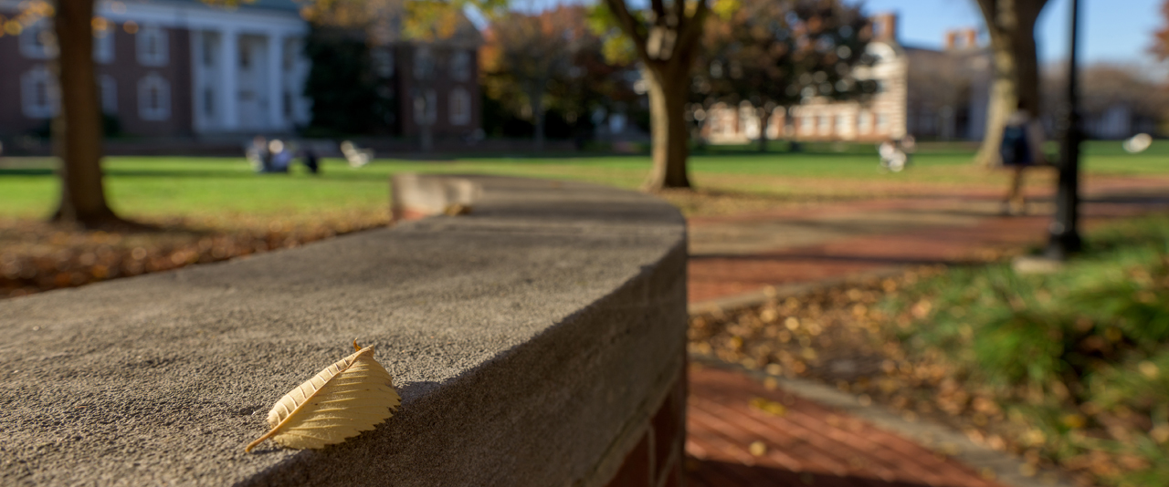 brick walkway on UD's Green with an autumn leaf on a brick wall