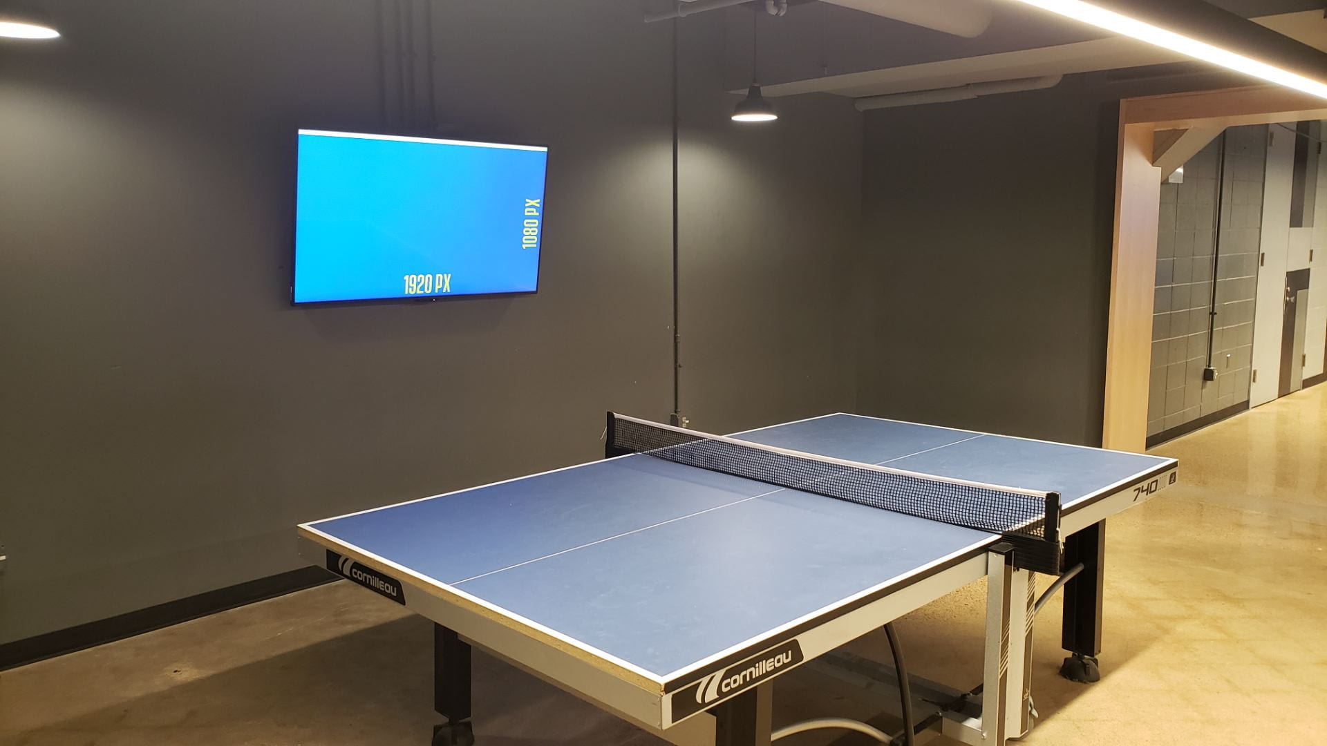 Display in Hen Zone table tennis area