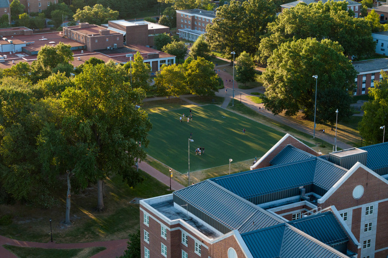 Harrington Turf 