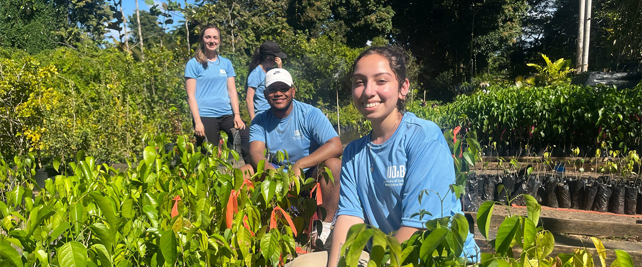 Students planting trees in Puerto Rico