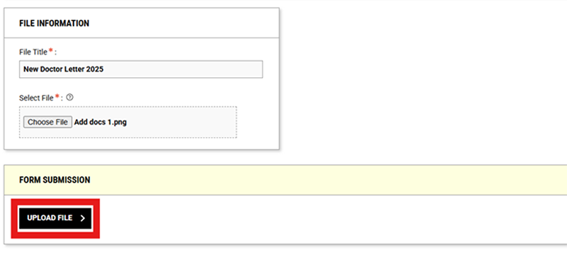 screenshot of DSS portal with Upload File button outlined in red under the Files Information form fields