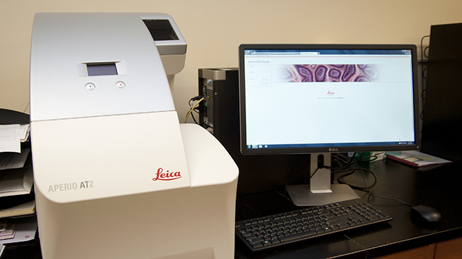 digital pathology digital pathology