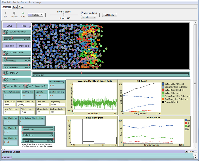 Computer screen used for modeling cancer tumor movement