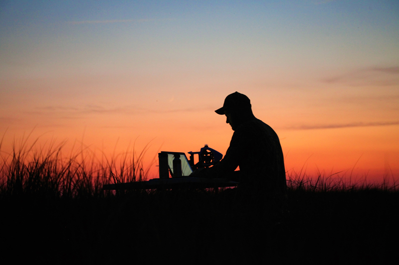 UD researchers plan to return to the North Carolina marshes in 2018 for further study of black duck nesting habits. Sunset over the North Carolina marsh where UD researchers worked.