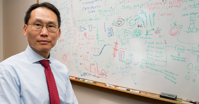 Luminaries predict future of solar energy as 14th Böer Medal of Merit awarded