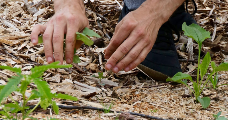 DNREC, UD create database of funding opportunities to support resilient communities