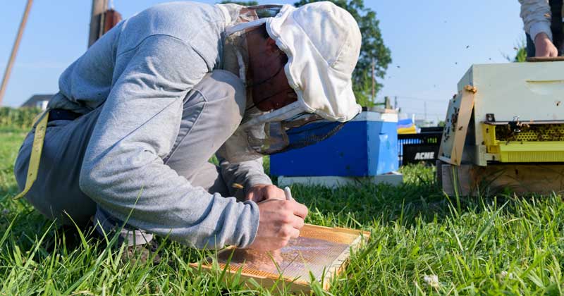 DNREC, UD create database of funding opportunities to support resilient communities