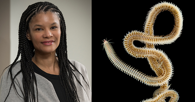 UD-led program funded by
NIH and State of Delaware for another five years