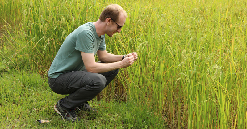 University of Delaware researcher makes direct link in first-of-its-kind labor study