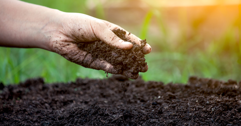 Soil moisture | UDaily - UDaily