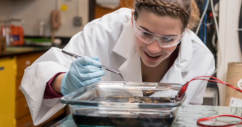 Early-career faculty in biomedical engineering and education honored